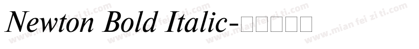 Newton Bold Italic字体转换